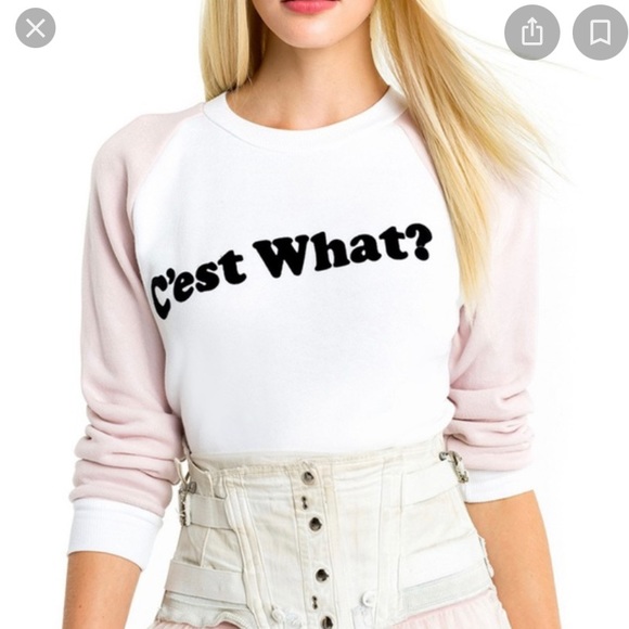 Wildfox Pullover!! 🌸🌸🌸 - Picture 4 of 4